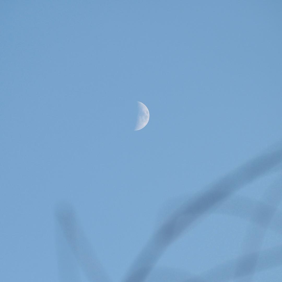 moon三更月