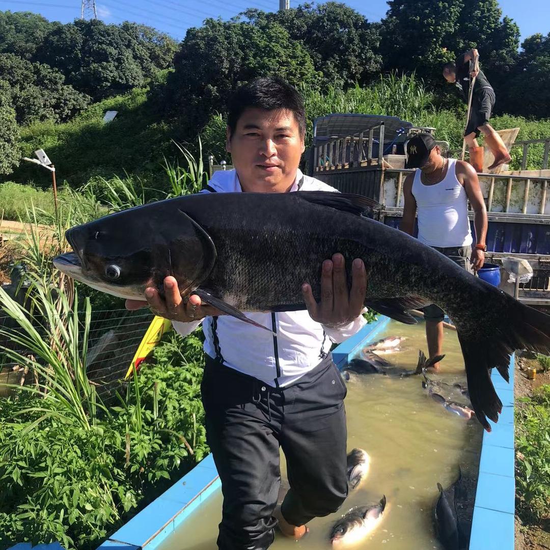 天鹅湖钓鱼场