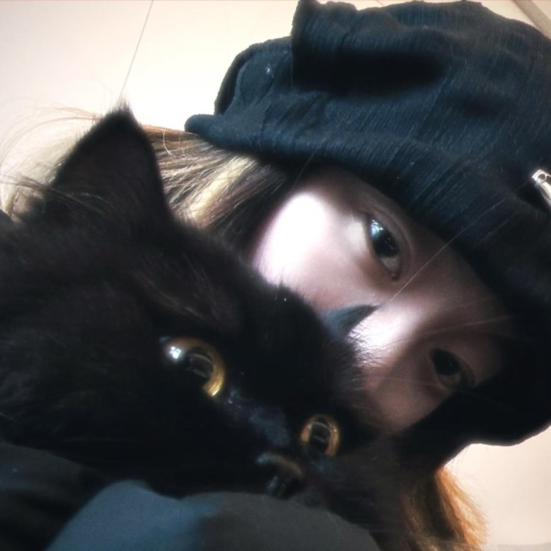 猫猫🐈‍⬛（摄影