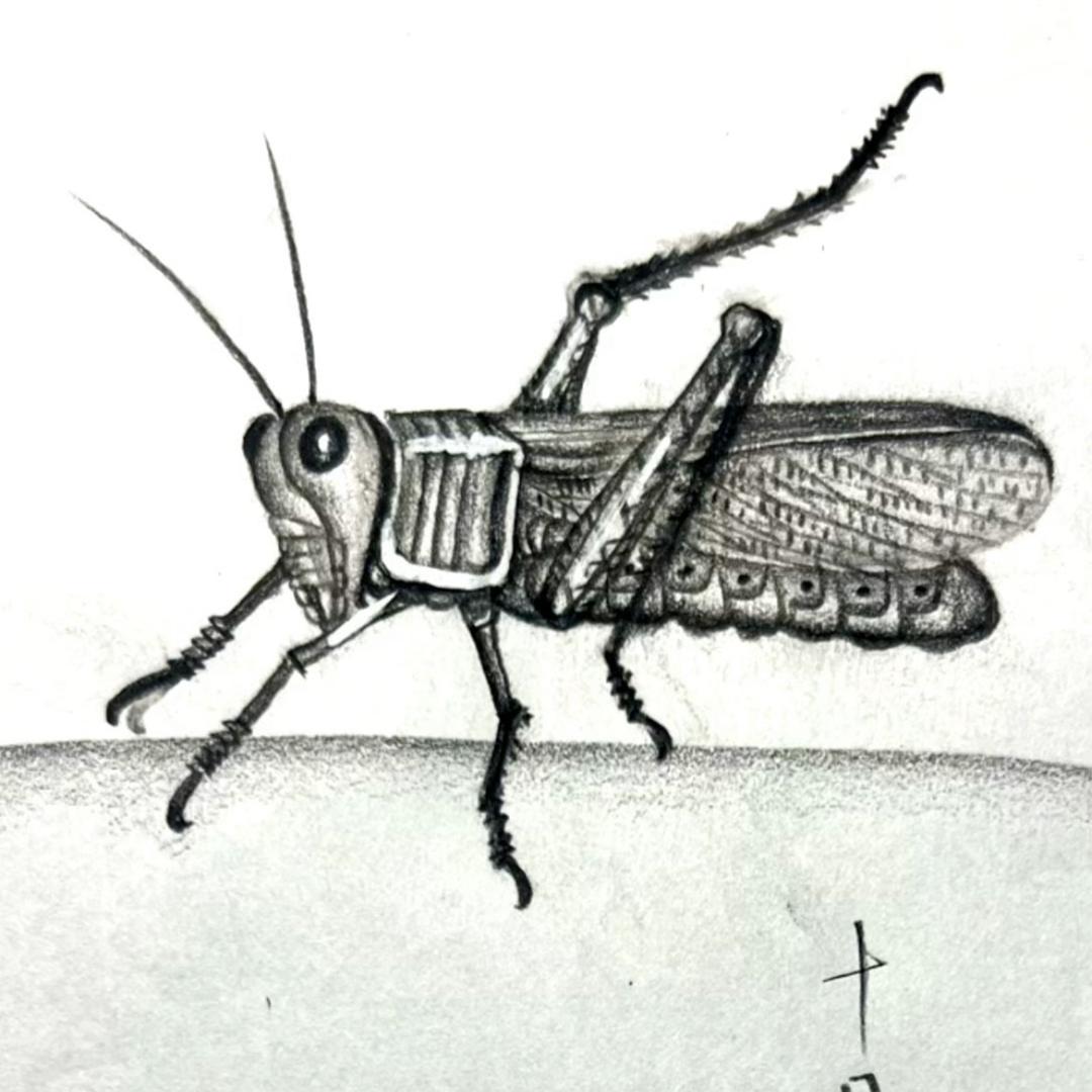 十月绘画