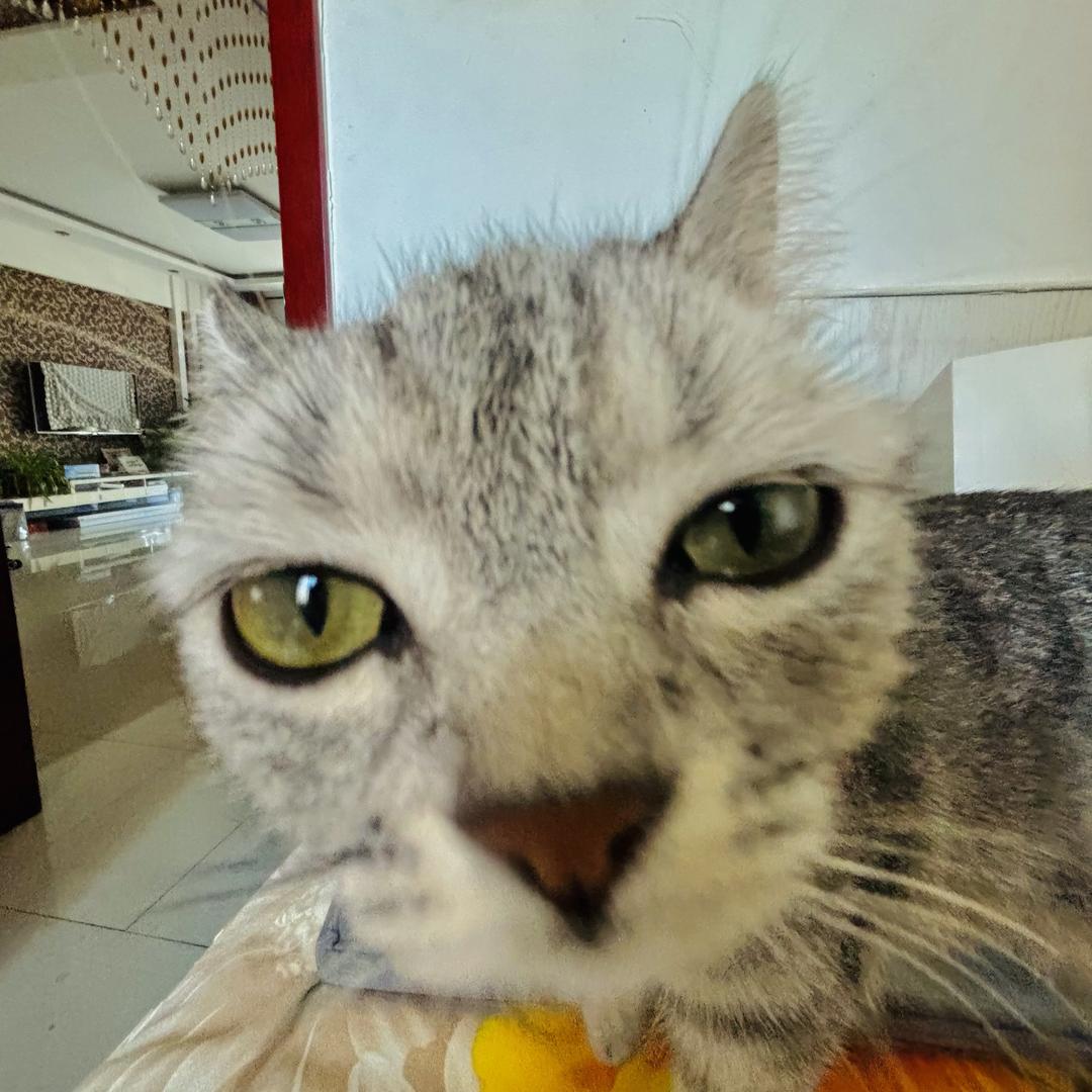 以后要每天幸福