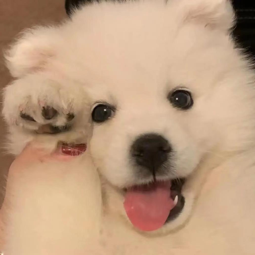 森森宁