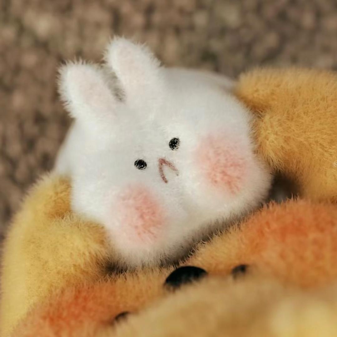 小佳大王