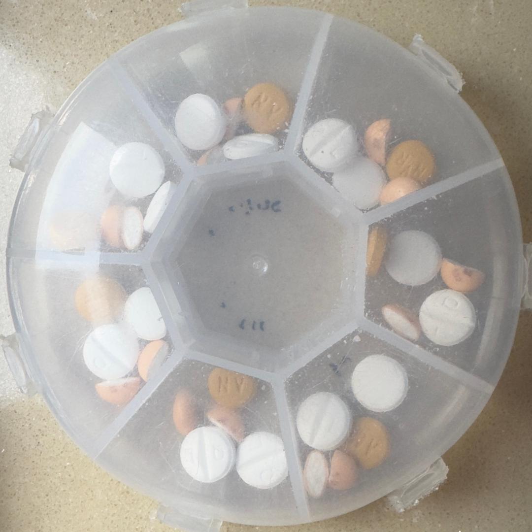 沪飘老鳖三