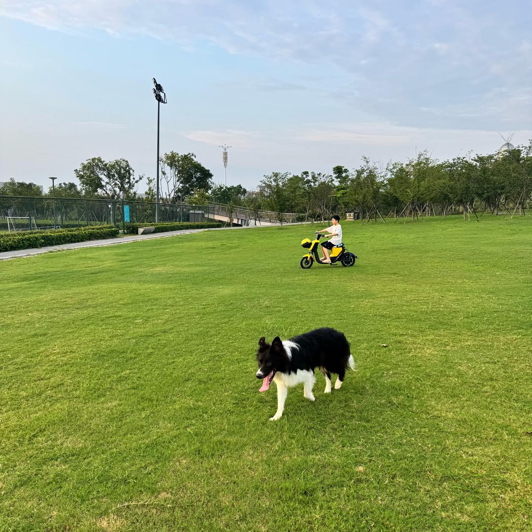 不明白