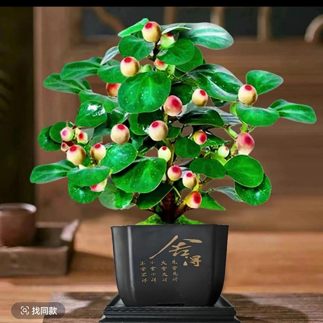中静
