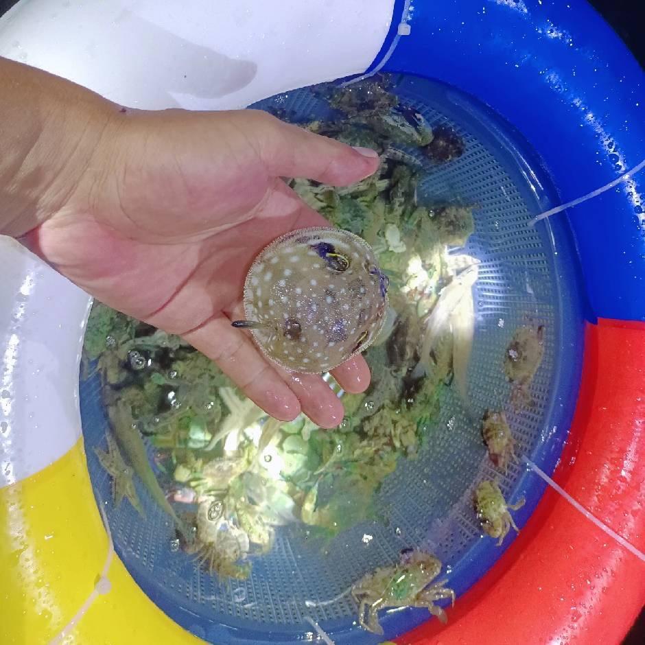 随风而飘
