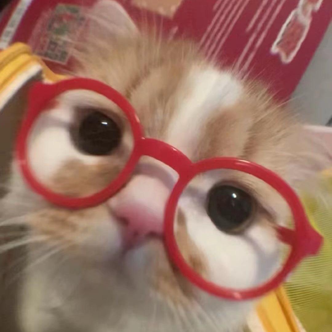 若若爱哭鬼