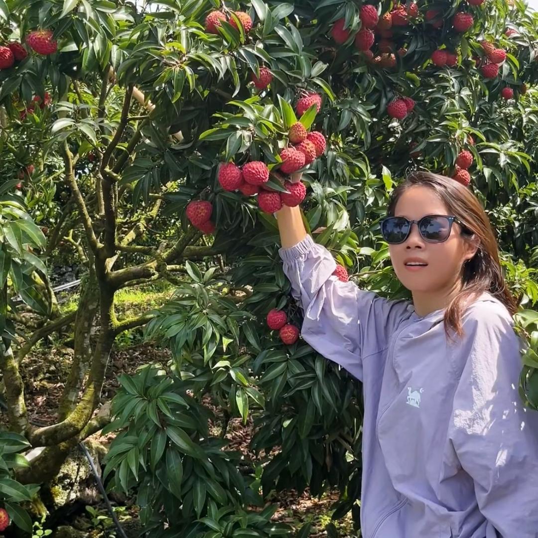 周周周｜周老板在三亚