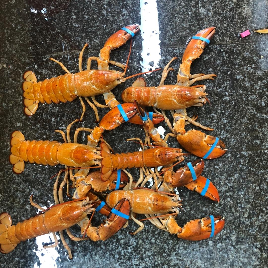 上海海鲜批发部