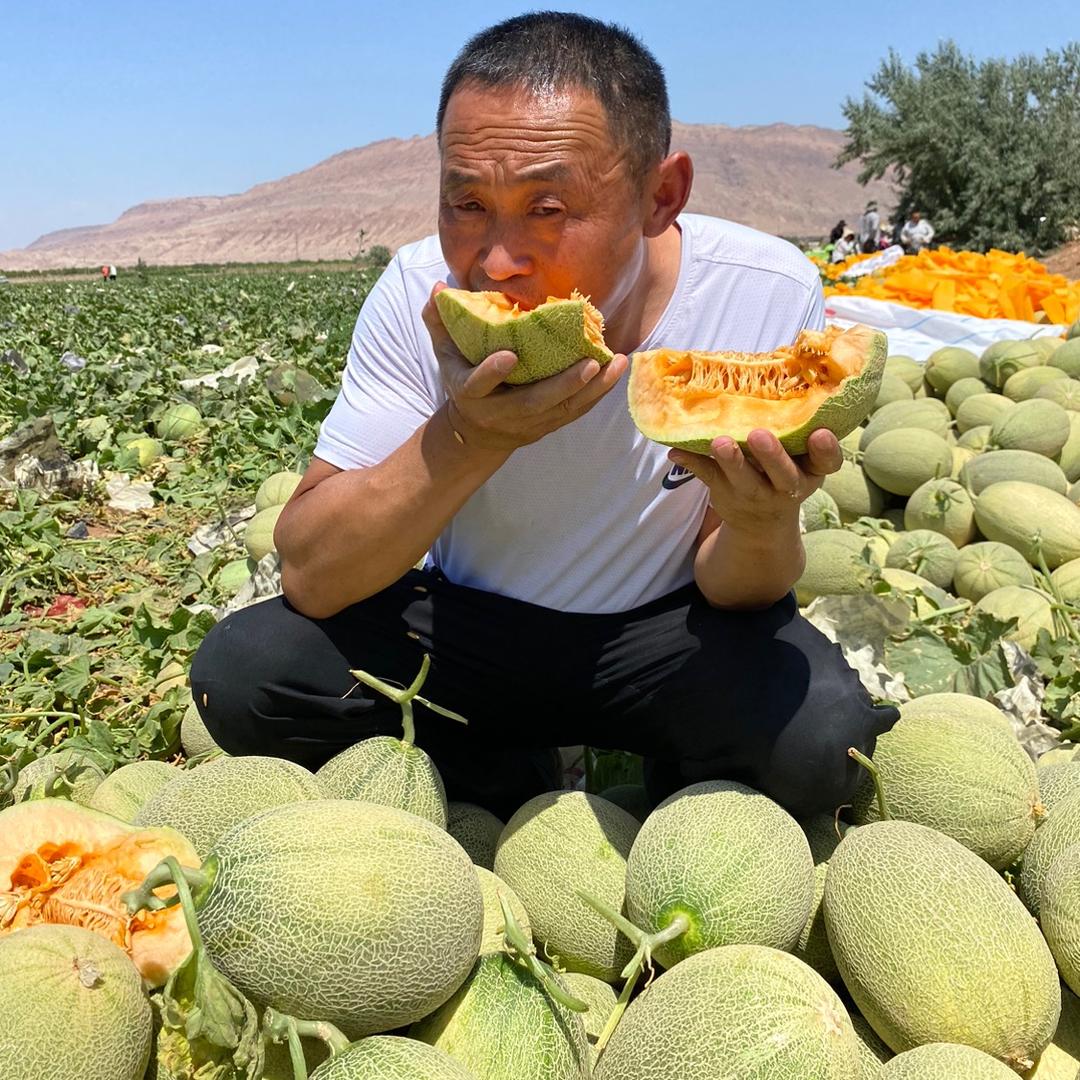 峰哥特产（每晚七点半直播间等你来）