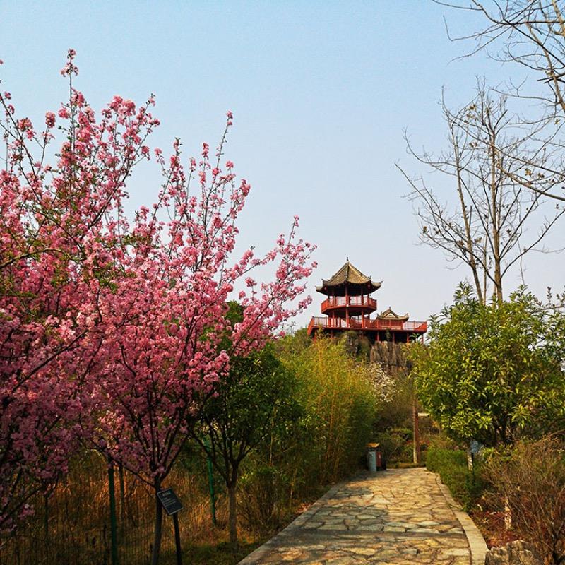 杏林喜乐