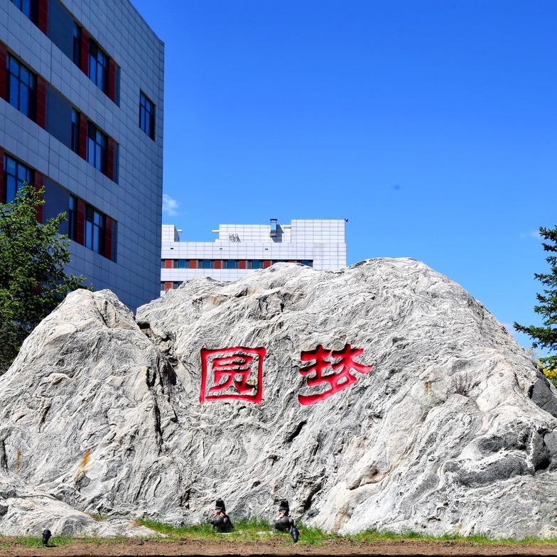 长春北湖学校-子龙老师