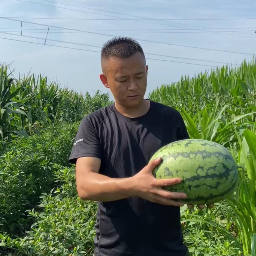 小五鲜果