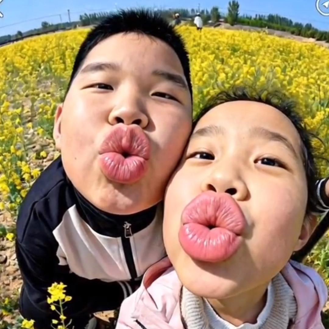 杜木土杜杜木土