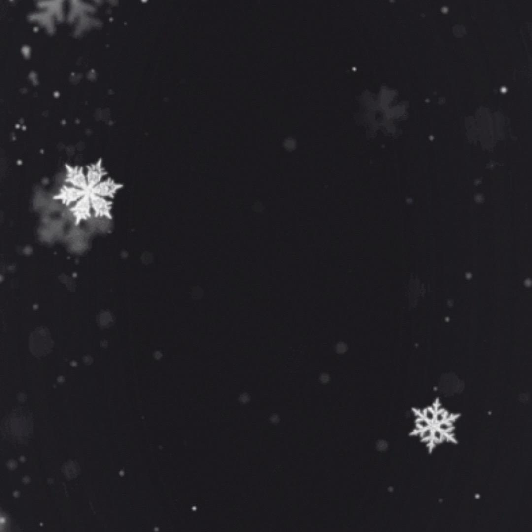 锕楞錒愣的头像