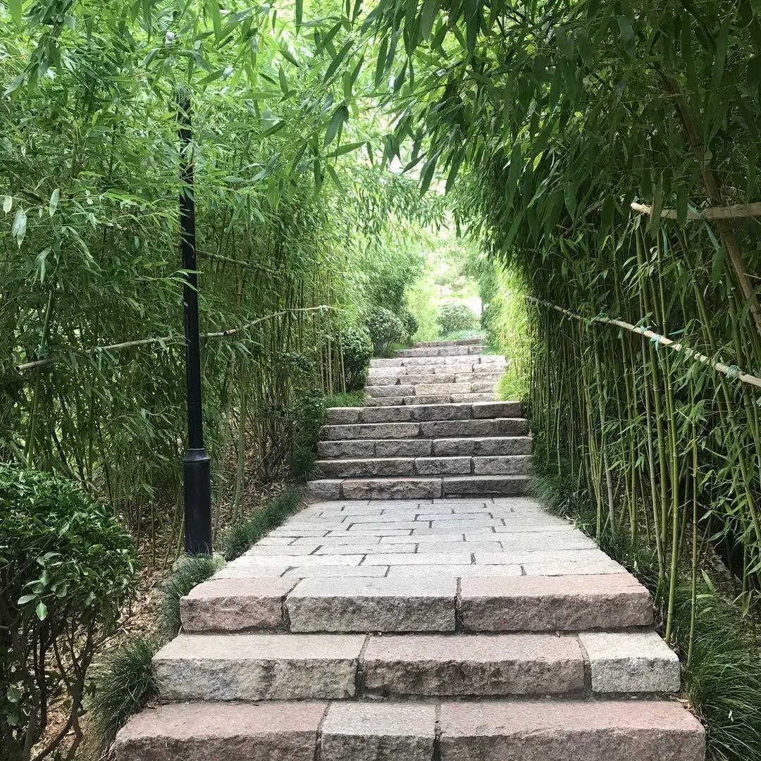 听林观海