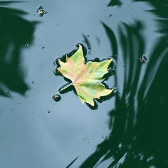 零碎的光