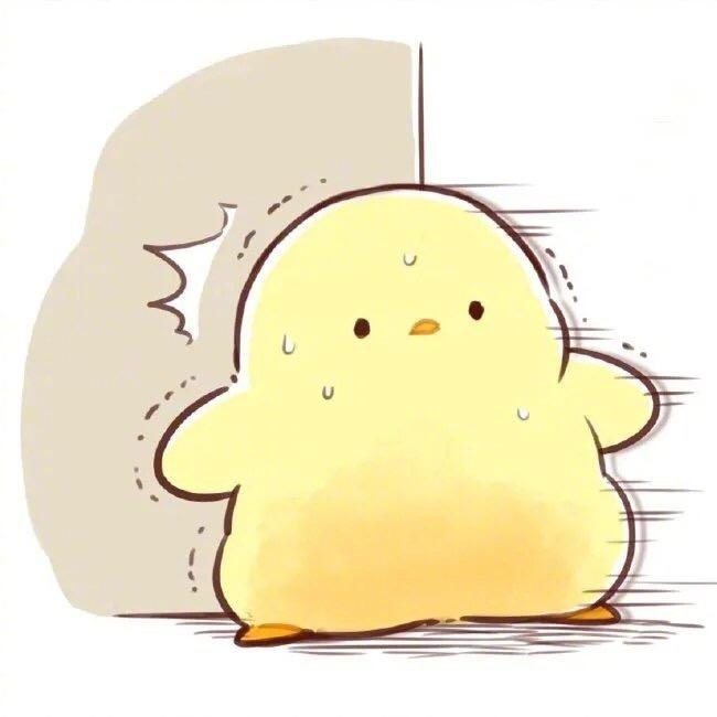 飞毛