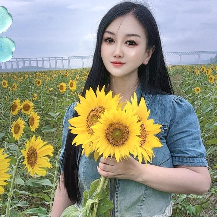 幸运四叶草