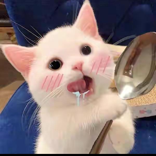 又又又烤糊了