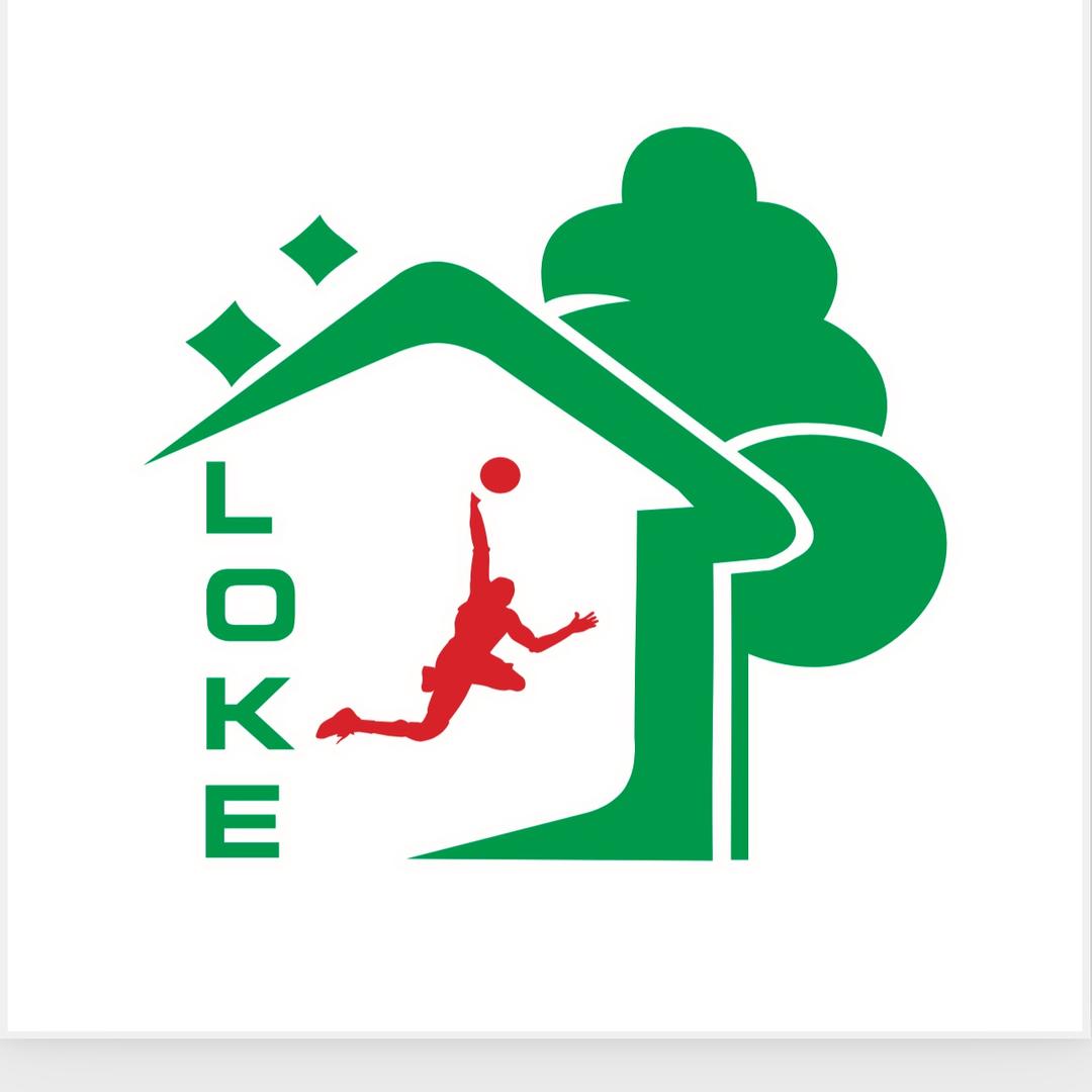 洛可风情实木运动地板-琪琪