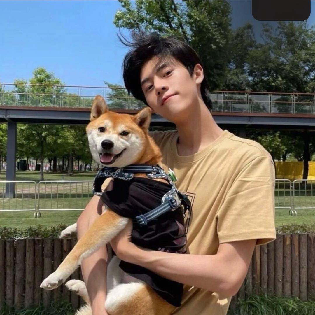 拜拜拜拜宇.