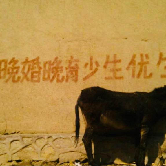 老男人啊蔡