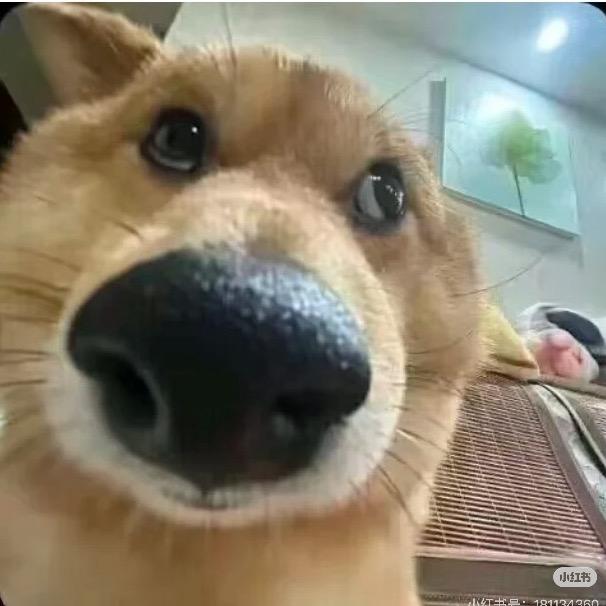 牛肉粒