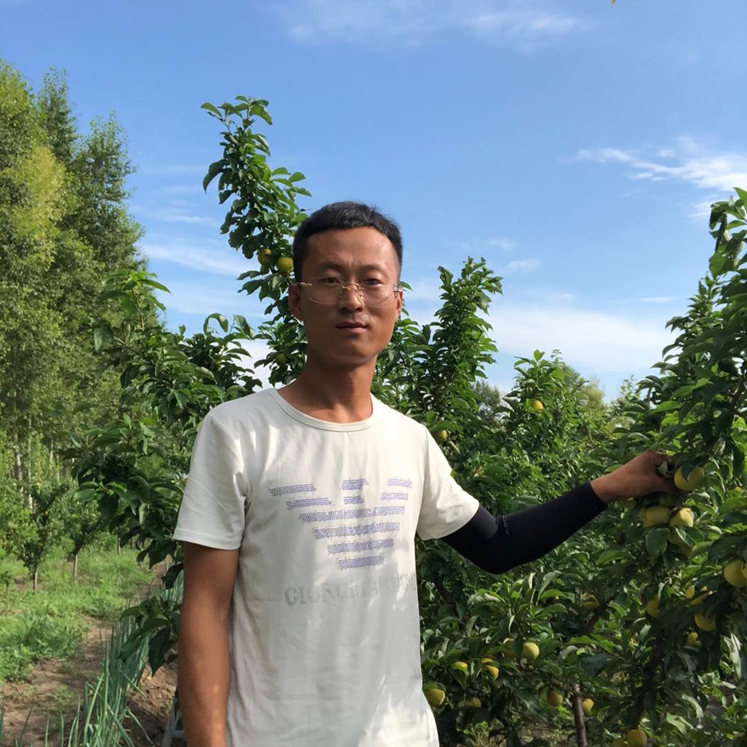 刘涛香瓜的乡村生活