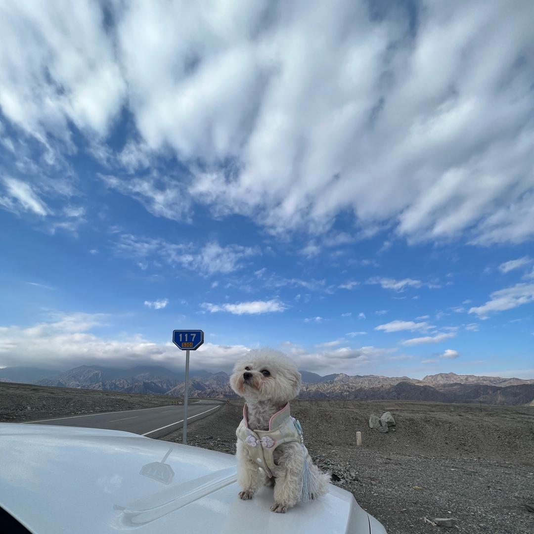 羡慕貔貅的一天