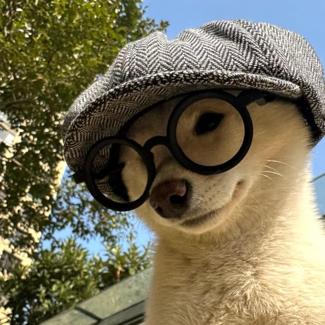 射手座的班吉🐻（薄肌版）