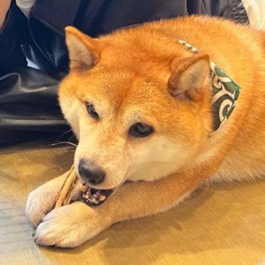 田德柱爱渔摆摆