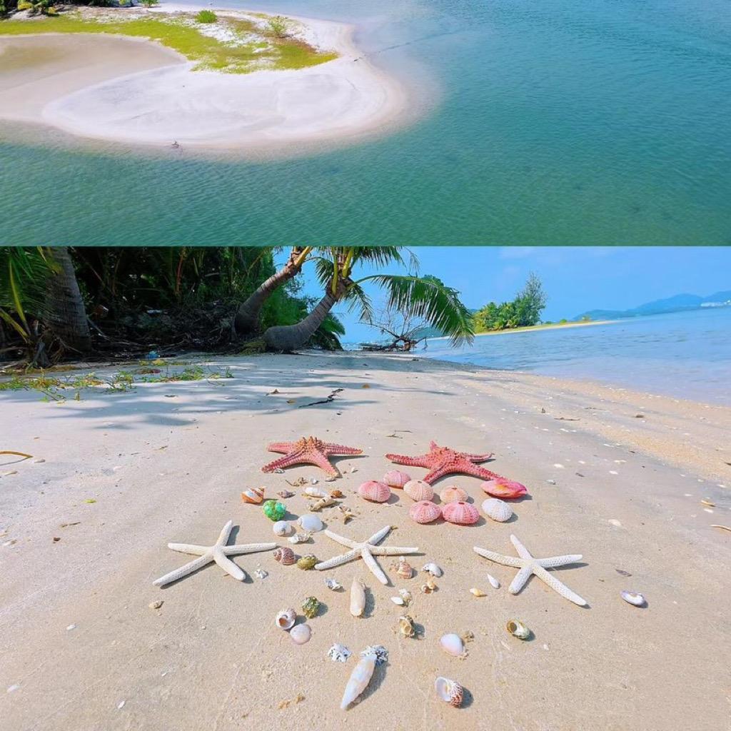 小宝在海边