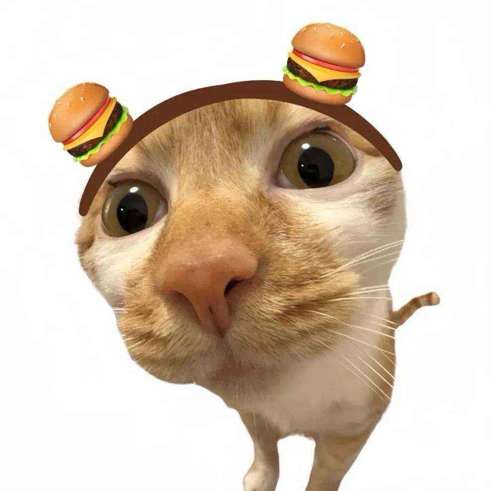 天气预报说今天有猫