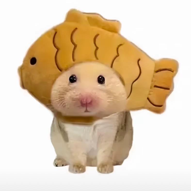 快乐小鱼