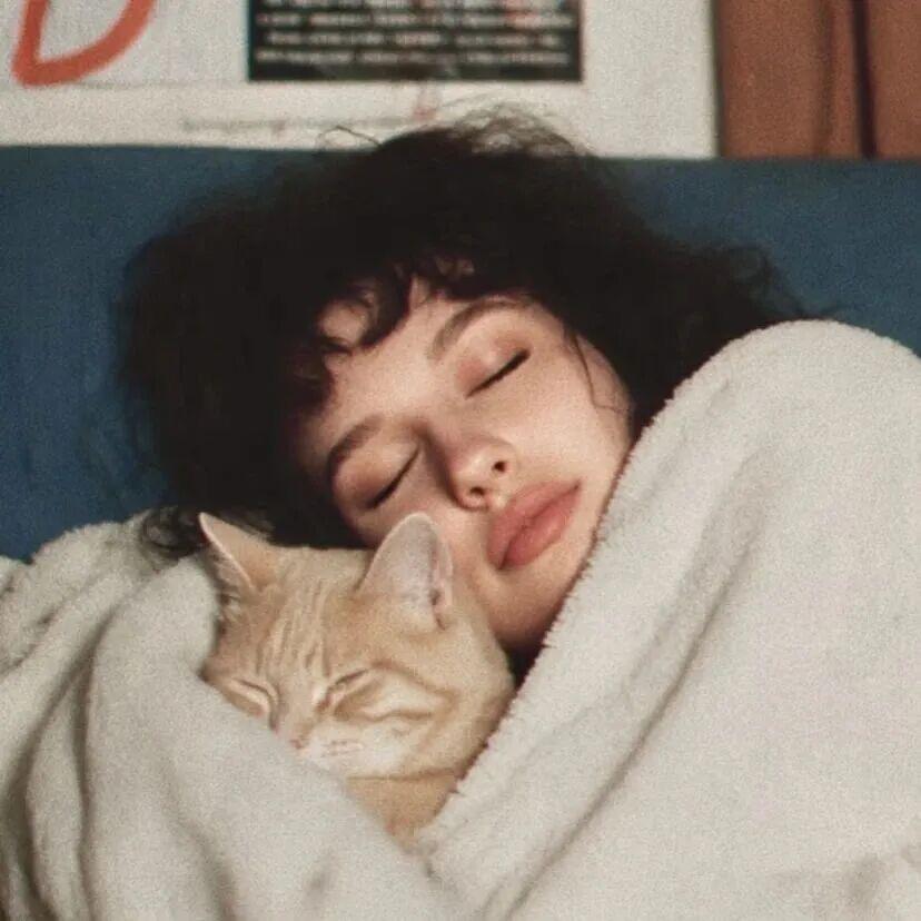 甜心月半猫