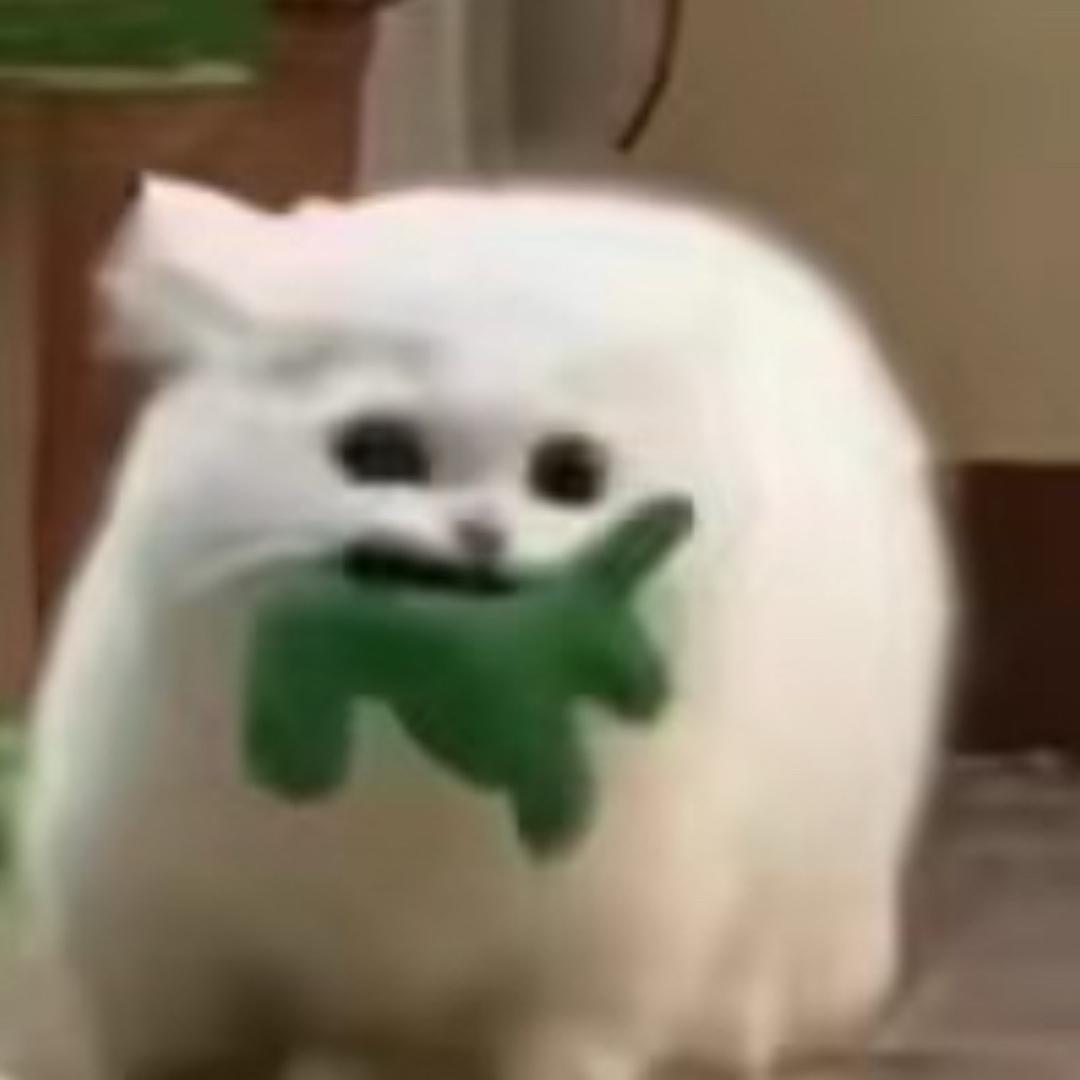 阿朔.