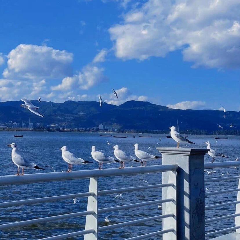 江湖问路不问心💔