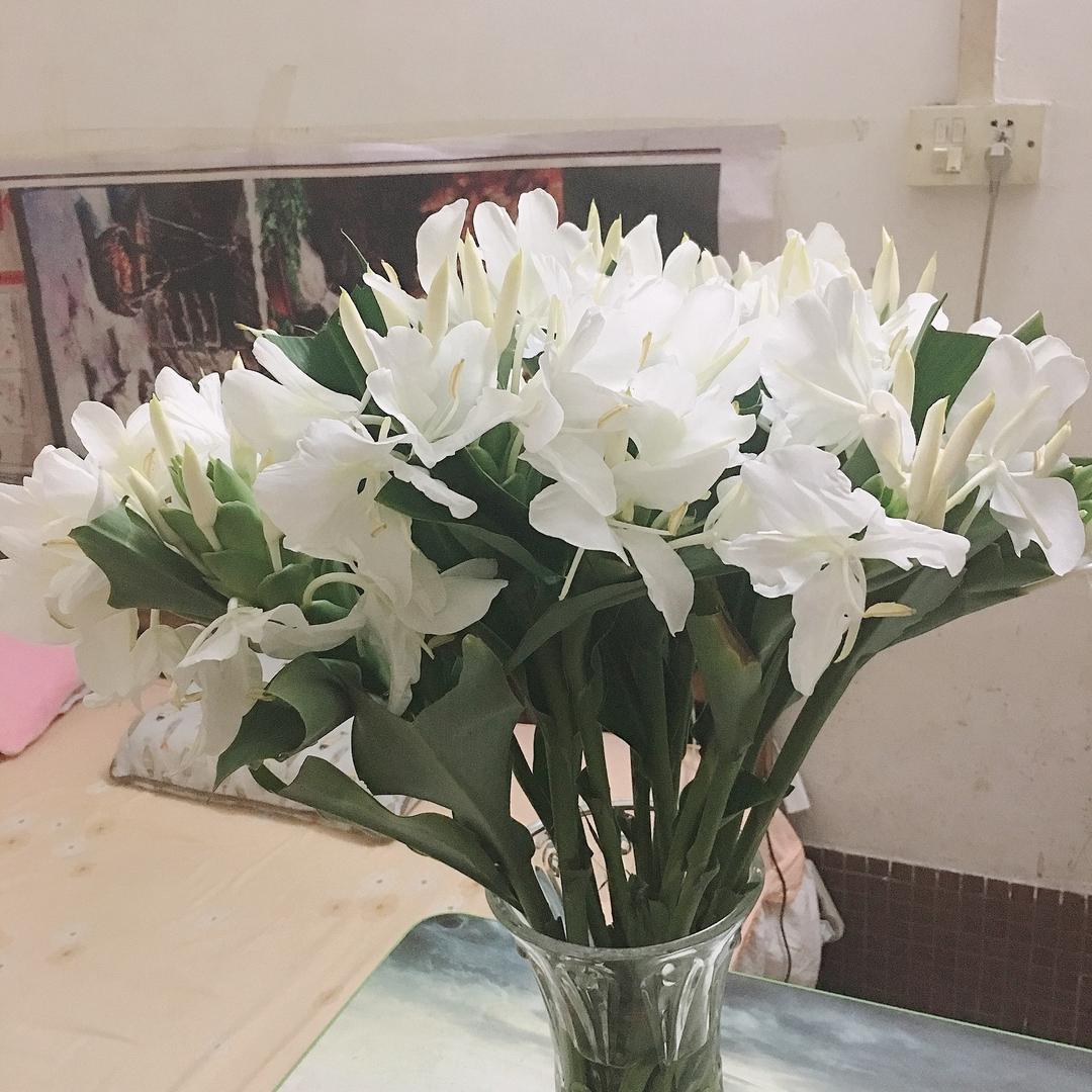 奔向幸福，