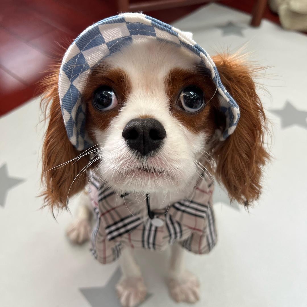 星玥同学