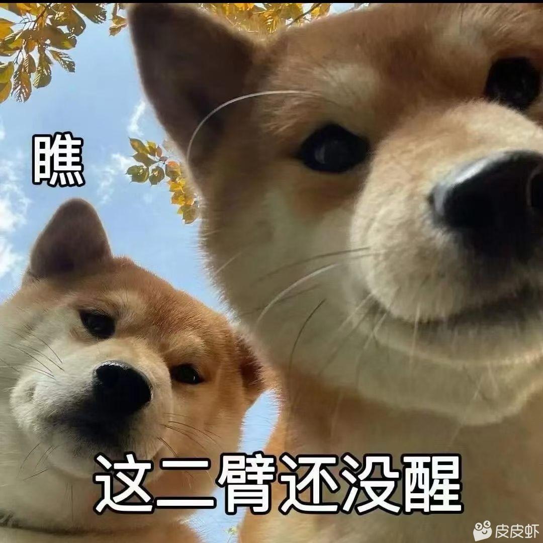 ʕ•̫͡•ʕ*̫͡*ʕ•͓͡•ʔ