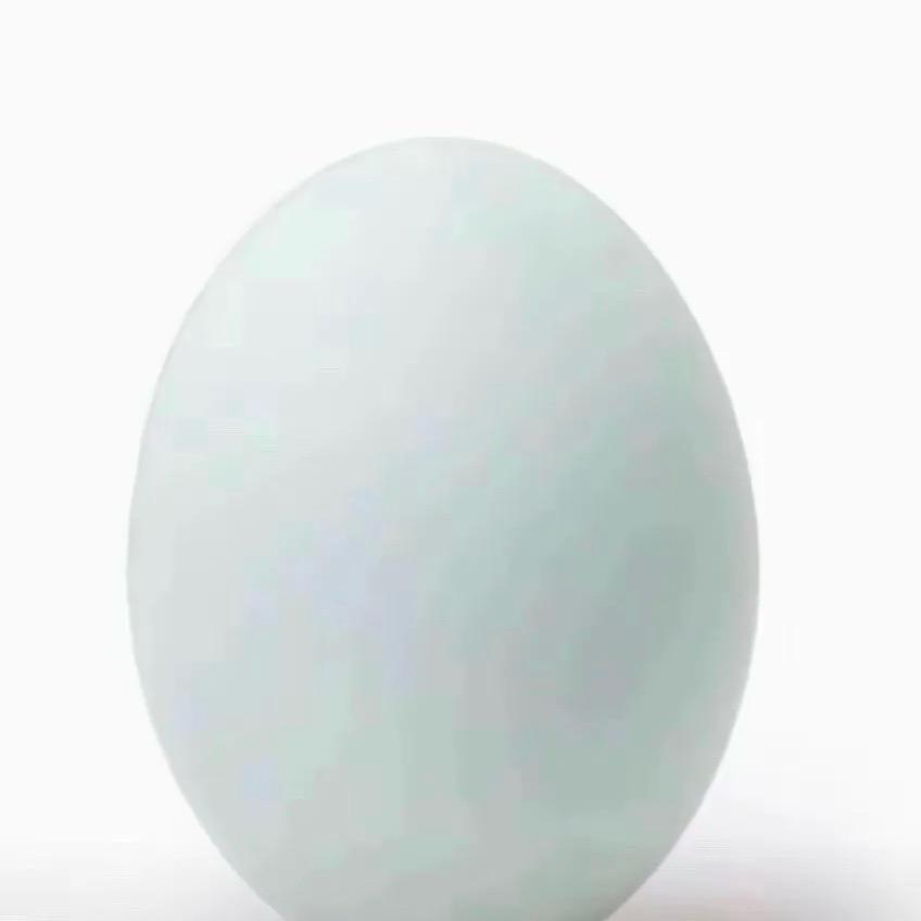 AAA  土鸭蛋批发小胡🥚