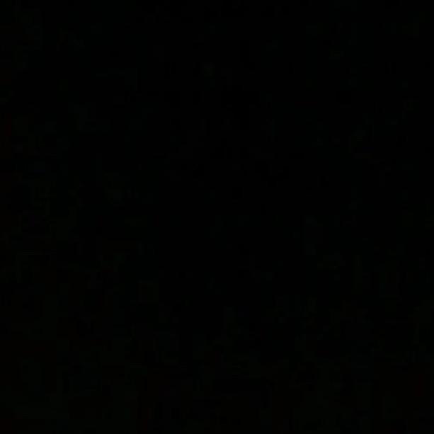 天真命.