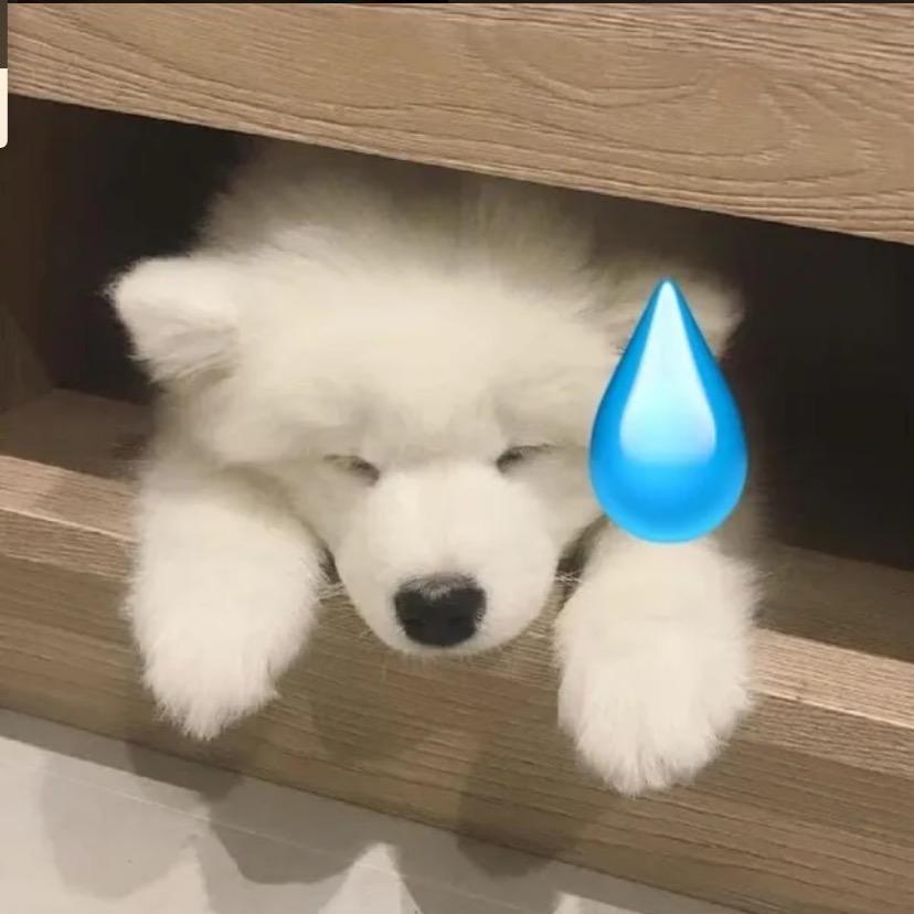 你伤到我了丫头