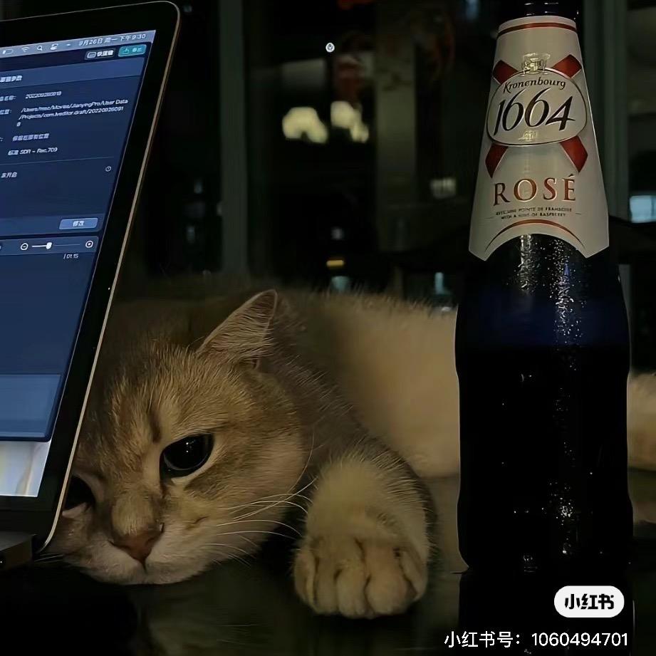 想去泰安爬泰山