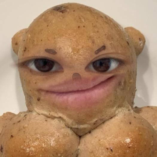 严抒的书.