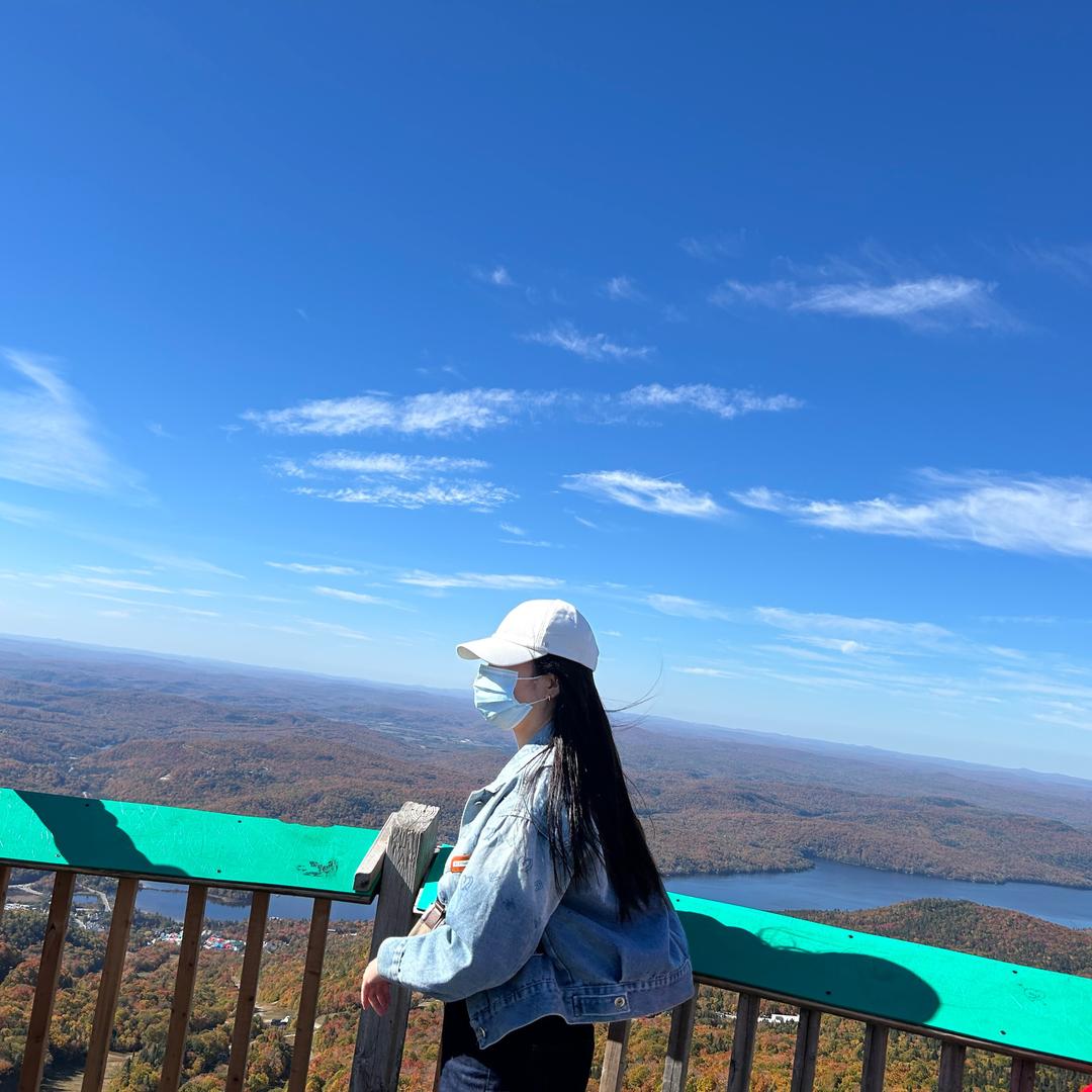 奈-