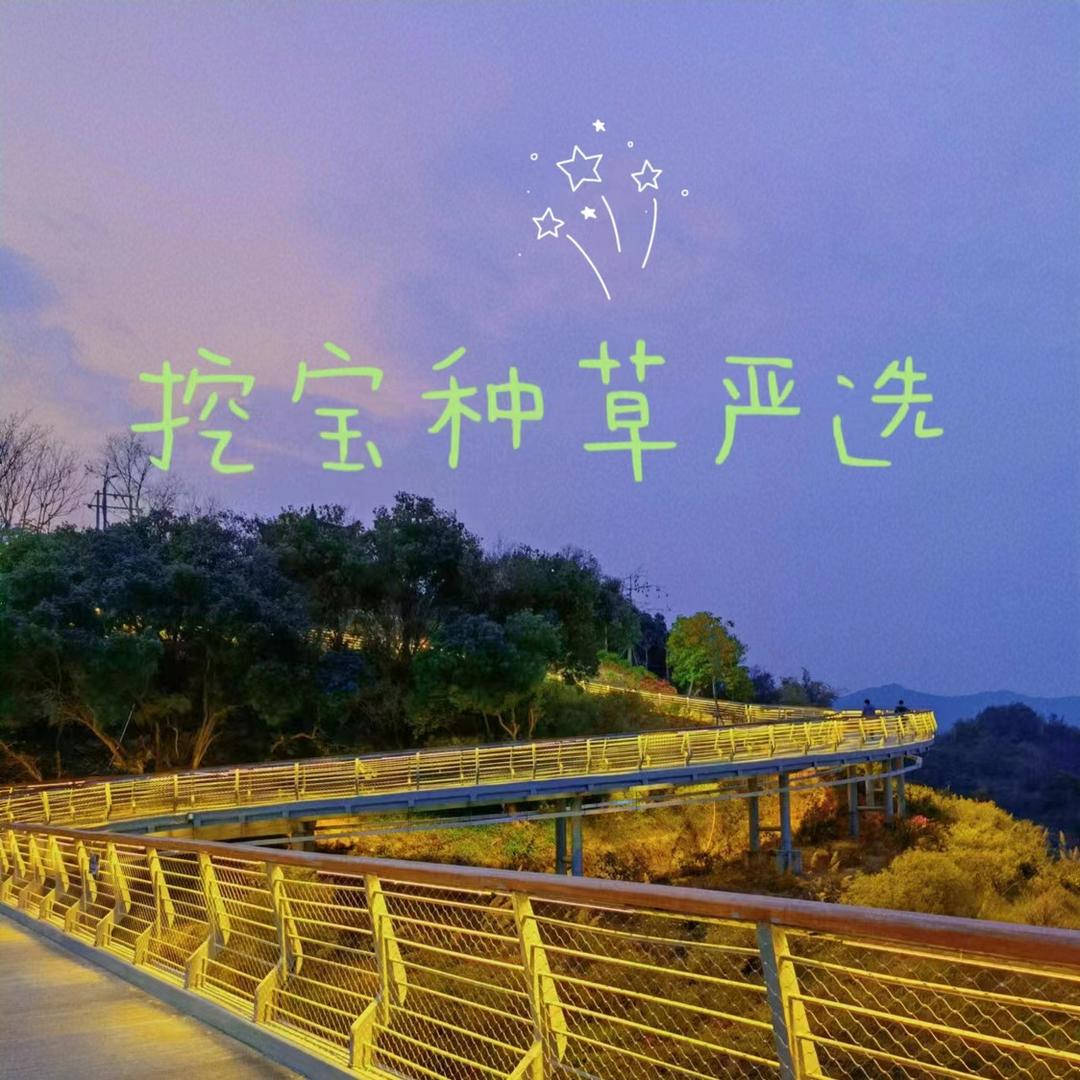 木森的杨姐