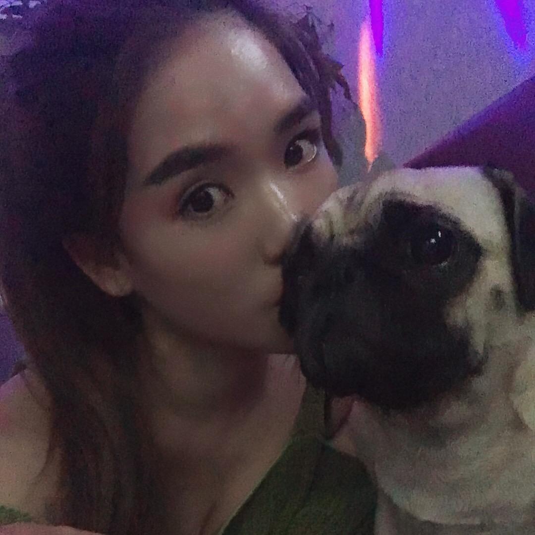 小🐶寶子